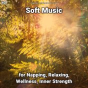 #01 Soft Music for Napping, Relaxing, Wellness, Inner Strength