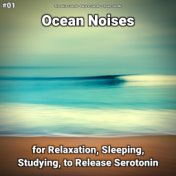 #01 Ocean Noises for Relaxation, Sleeping, Studying, to Release Serotonin