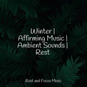 Winter | Affirming Music | Ambient Sounds | Rest