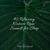 40 Relaxing Nature Rain Sounds for Sleep
