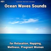 #01 Ocean Waves Sounds for Relaxation, Napping, Wellness, Pregnant Women
