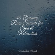 40 Dreamy Rain Sounds for Spa & Relaxation