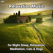#01 Relaxation Music for Night Sleep, Relaxation, Meditation, Cats & Dogs