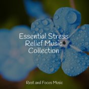 Essential Stress Relief Music Collection