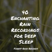 40 Enchanting Rain Recordings for Deep Sleep