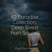 40 Paradise Collection: Deep Sleep Rain Sounds