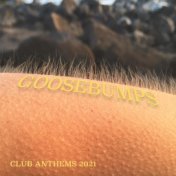 Goosebumps - Club Anthems 2021