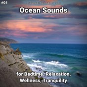 #01 Ocean Sounds for Bedtime, Relaxation, Wellness, Tranquility