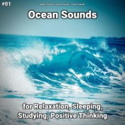 #01 Ocean Sounds for Relaxation, Sleeping, Studying, Positive Thinking
