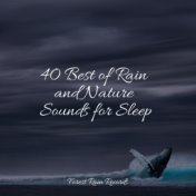 40 Best of Rain and Nature Sounds for Sleep