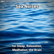 #01 Sea Noises for Sleep, Relaxation, Meditation, the Brain