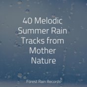 40 Melodic Summer Rain Tracks from Mother Nature