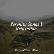 Serenity Songs | Relaxation