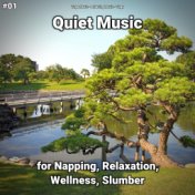 #01 Quiet Music for Napping, Relaxation, Wellness, Slumber