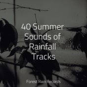 40 Summer Sounds of Rainfall Tracks