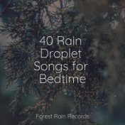 40 Rain Droplet Songs for Bedtime