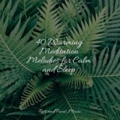 40 Warming Meditation Melodies for Calm and Sleep