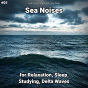 #01 Sea Noises for Relaxation, Sleep, Studying, Delta Waves