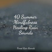 40 Summer Mindfulness Healing Rain Sounds