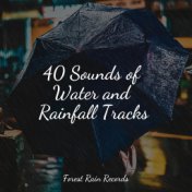40 Sounds of Water and Rainfall Tracks