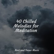 40 Chilled Melodies for Meditation