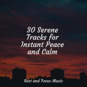 30 Serene Tracks for Instant Peace and Calm