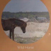 Wild Horse