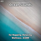 #01 Ocean Sounds for Napping, Relaxing, Wellness, ASMR