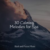 30 Calming Melodies for Spa