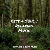 Rest & Soul | Relaxing Music