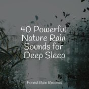 40 Powerful Nature Rain Sounds for Deep Sleep