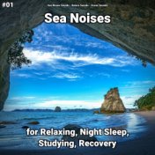 #01 Sea Noises for Relaxing, Night Sleep, Studying, Recovery