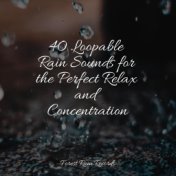 40 Loopable Rain Sounds for the Perfect Relax and Concentration