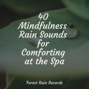 40 Mindfulness Rain Sounds for Comforting at the Spa