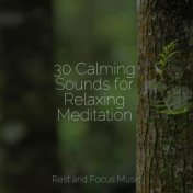 30 Calming Sounds for Relaxing Meditation