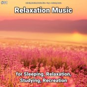 #01 Relaxation Music for Sleeping, Relaxation, Studying, Recreation