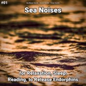 #01 Sea Noises for Relaxation, Sleep, Reading, to Release Endorphins