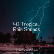 40 Tropical Rain Sounds