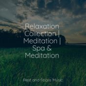 Relaxation Collection | Meditation | Spa & Meditation