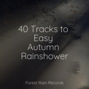 40 Tracks to Easy Autumn Rainshower