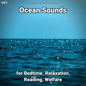 #01 Ocean Sounds for Bedtime, Relaxation, Reading, Welfare