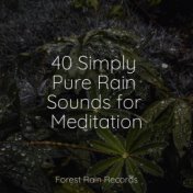 40 Simply Pure Rain Sounds for Meditation