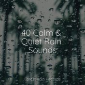 40 Calm & Quiet Rain Sounds