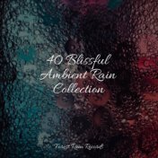 40 Blissful Ambient Rain Collection