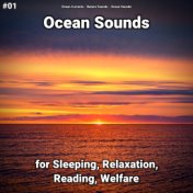 #01 Ocean Sounds for Sleeping, Relaxation, Reading, Welfare