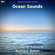#01 Ocean Sounds for Sleeping, Relaxing, Wellness, Babies