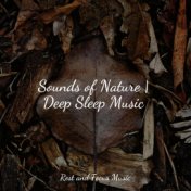 Sounds of Nature | Deep Sleep Music