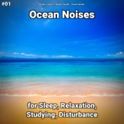 #01 Ocean Noises for Sleep, Relaxation, Studying, Disturbance