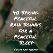 40 Spring Peaceful Rain Sounds for a Peaceful Sleep