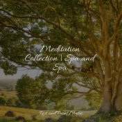 Meditation Collection | Spa and Spa